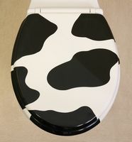 Novelty Toilet Seats