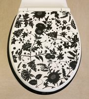 Novelty Toilet Seats