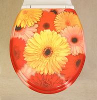 Novelty Toilet Seats