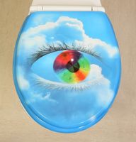 Novelty Toilet Seats