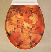 Novelty Toilet Seats