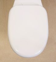 Novelty Toilet Seats