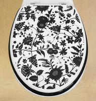 Novelty Toilet Seats