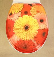 Novelty Toilet Seats