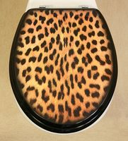 Novelty Toilet Seats