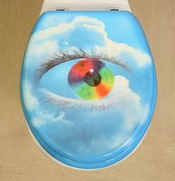 Novelty Toilet Seats