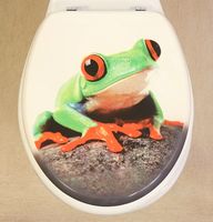 Novelty Toilet Seats