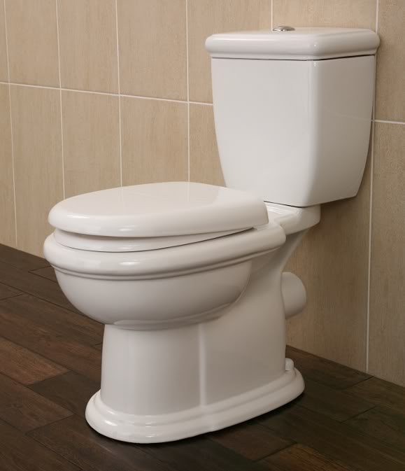 PU600 - Luxury Contemporary Dual Flush Toilet with Traditional Styling - Toilets & Sinks - 