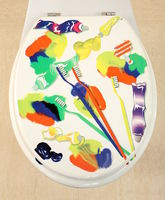 Novelty Toilet Seats