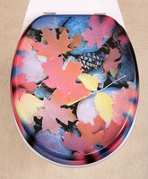 Novelty Toilet Seats